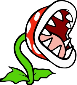 W1