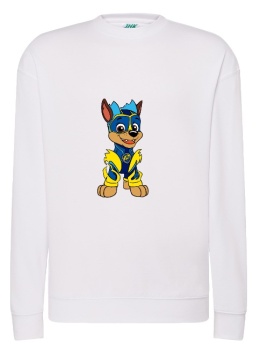 Bluza 