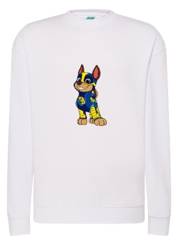 Bluza 
