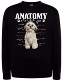 Bluza z Kapturem "Anatomia Shih Tzu"