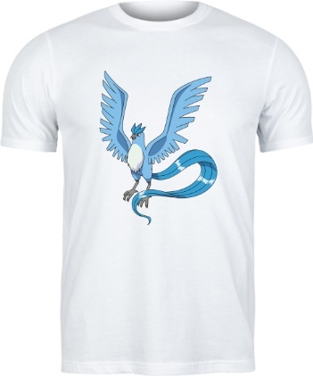 Bluza z Legendarnym Articuno
