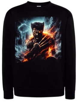 Bluza 