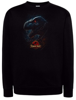 Bluza 