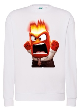Bluza 