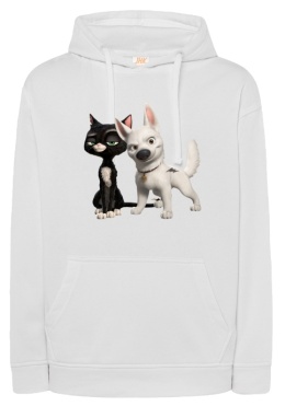 Bluza 