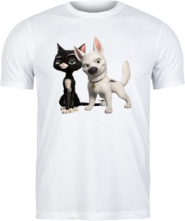 Bluza 